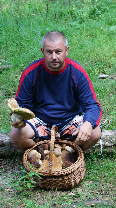 hríb smrekový Boletus edulis Bull.