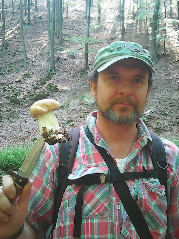 hríb dubový Boletus reticulatus Schaeff.