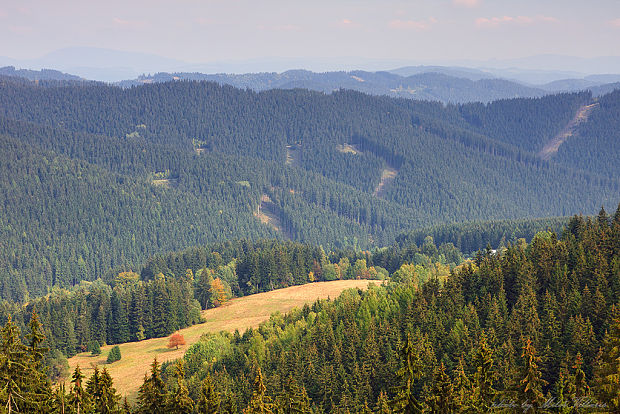 Makov - Kopanice