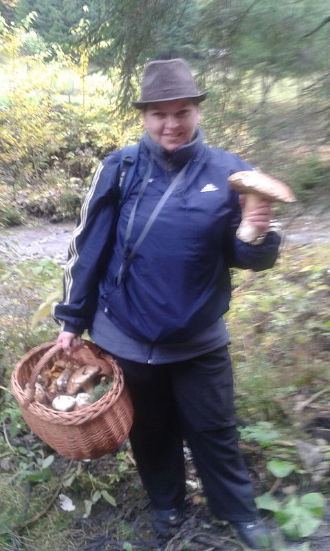 dubák boletus