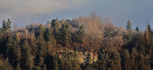 sovia skala. výhľad smer sp.tomášovce