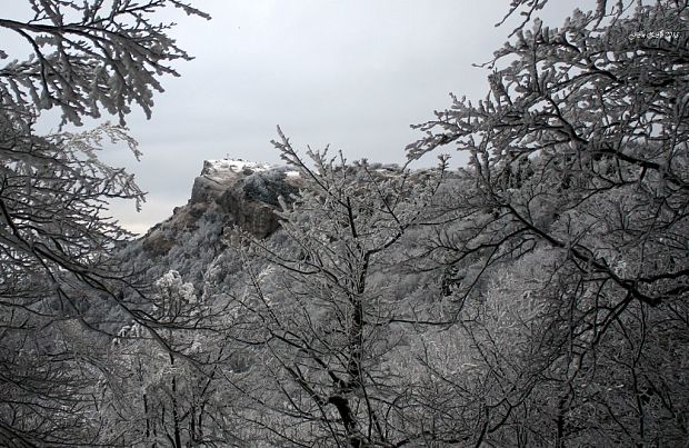 Kľak