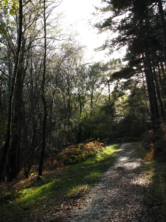 poobedie v Broadwater Warren (East Sussex)