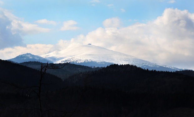 Kráľová hoľa