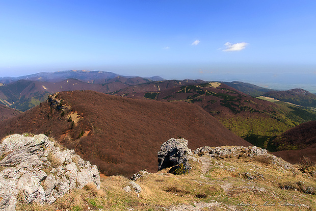 Ostrá skala