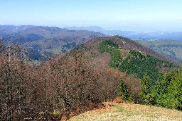 Košiarka