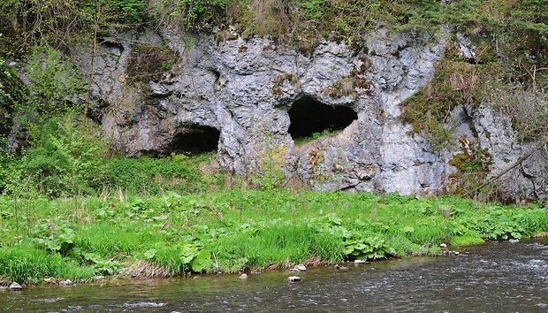 Slovenský raj,pod Smižanskou mašou.