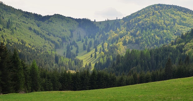 kopanec,Kopanecké lúky.