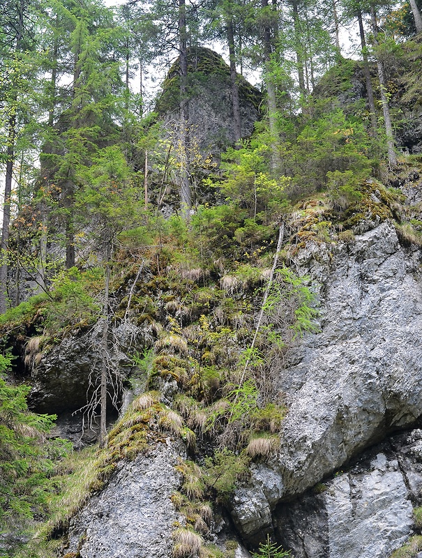 Stratenský kaňon.