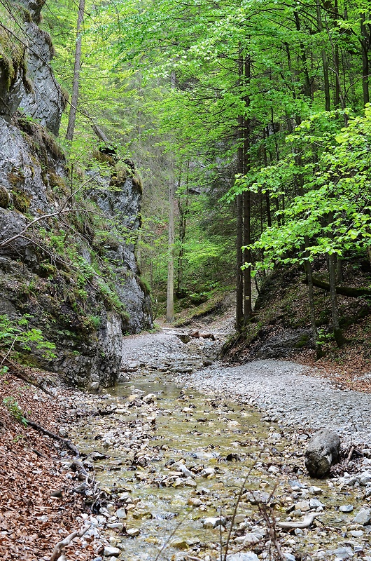 Slovenský raj,Piecky.