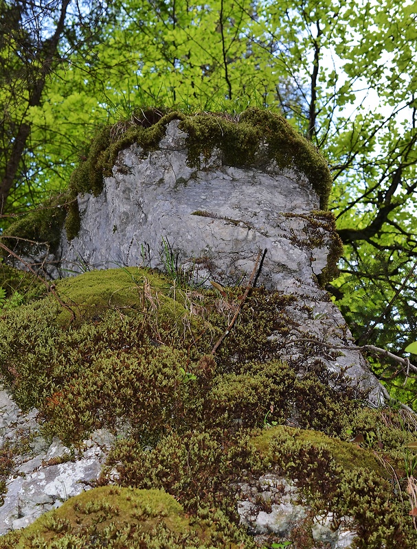 Slovenský raj,Piecky.