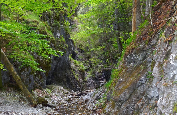 Slovenský raj,Piecky.