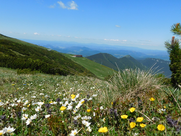 Malá Fatra