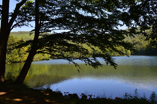 Morske oko