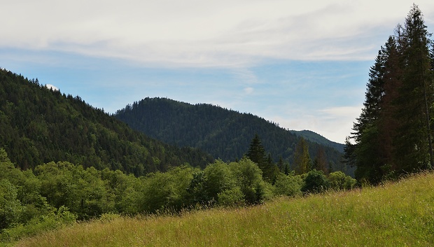 Slovenský raj,Podlesok.