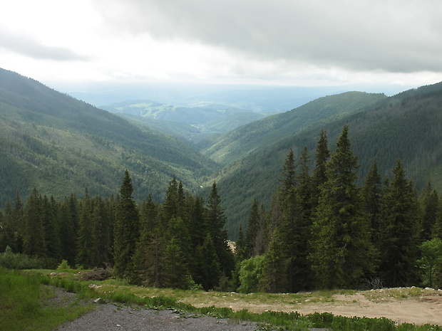 nízke tatry juh