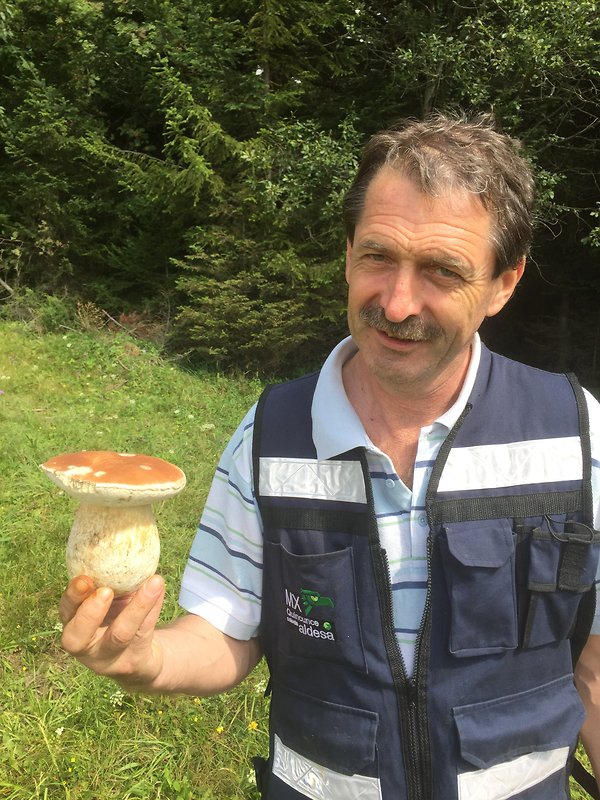 hríb smrekový Boletus edulis Bull.