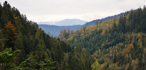 hnilecká dolina.