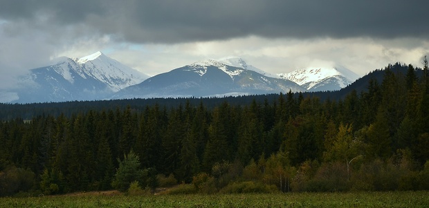 Roháče.