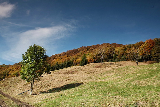 Biele Karpaty