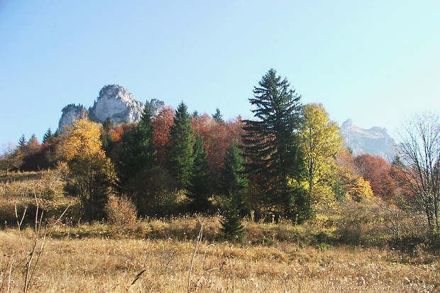 jeseň na Rozsutcoch (Malá Fatra)