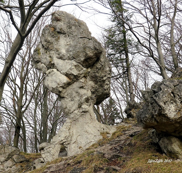 Kojšovský budzogáň