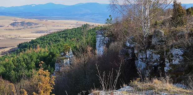 Spiš,Dreveník.