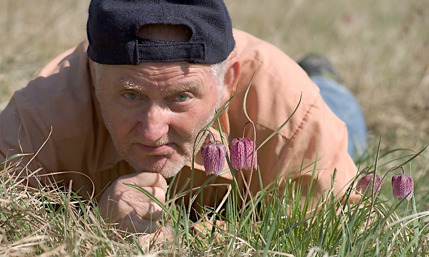 Dnes na korunkovke Fritillaria L.