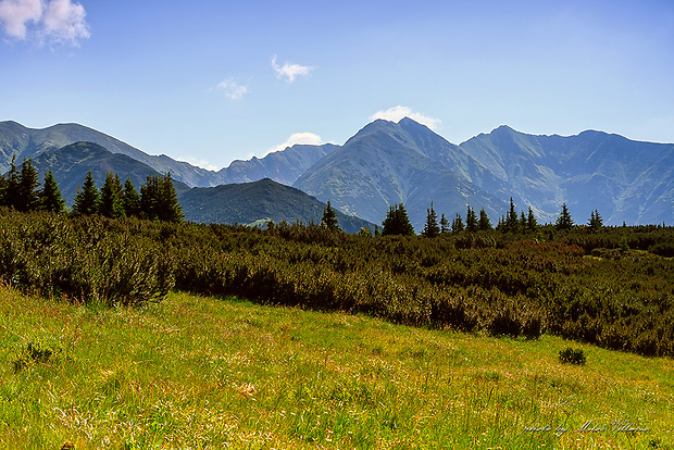 Západné Tatry