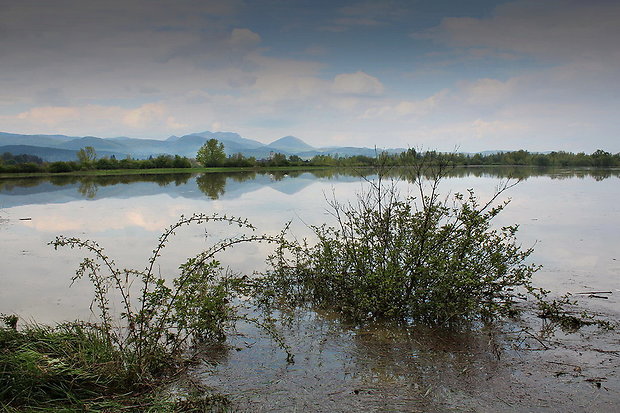 rozliatý Váh