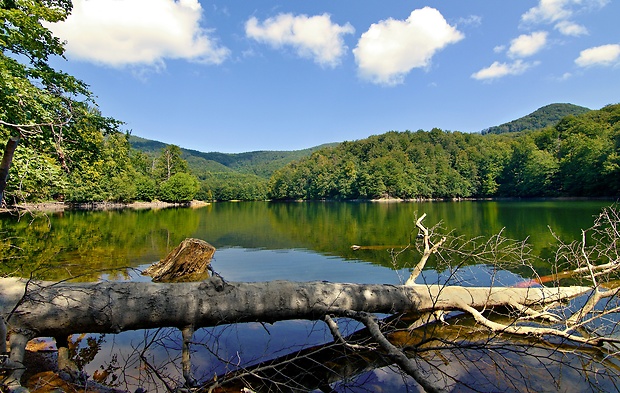 Morské oko