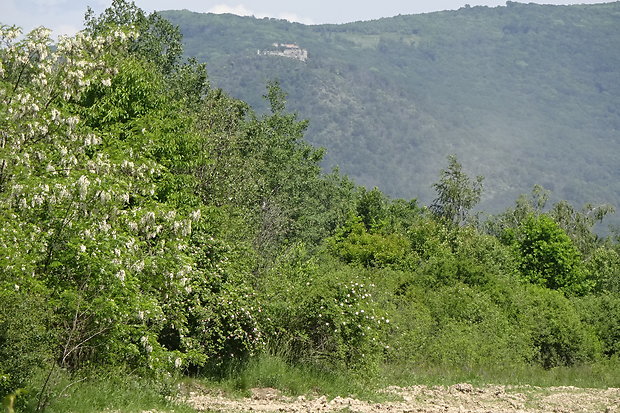 biotop na kozáky