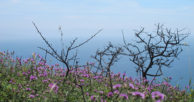 pobrežné útesy Finisterre Natura