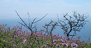 pobrežné útesy Finisterre
