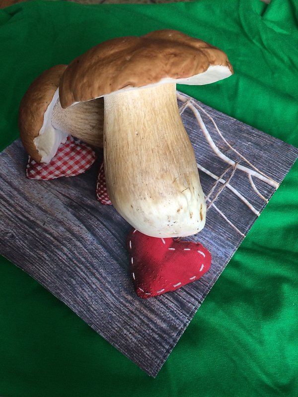 hríb dubový Boletus reticulatus Schaeff.