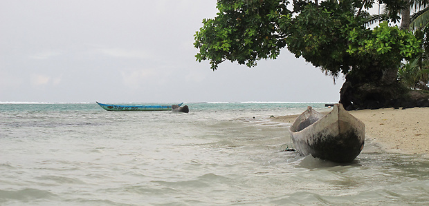 pláž na Île Aux Nattes, Madagascar Natura