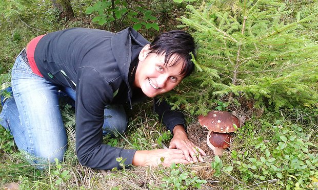 hríb smrekový Boletus edulis Bull.