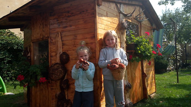 kozák osikový Leccinum albostipitatum den Bakker & Noordel.