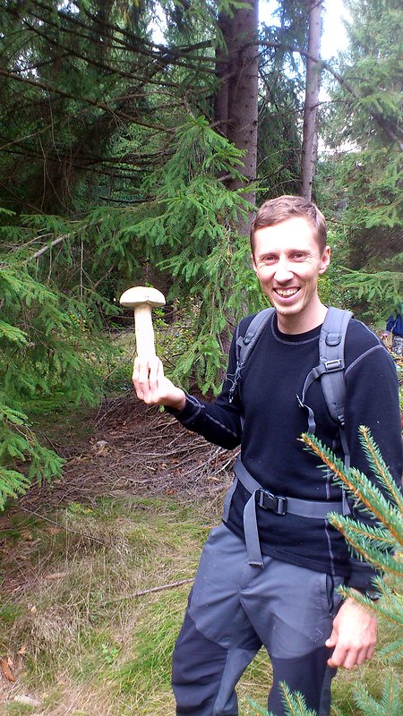 hríb smrekový Boletus edulis Bull.