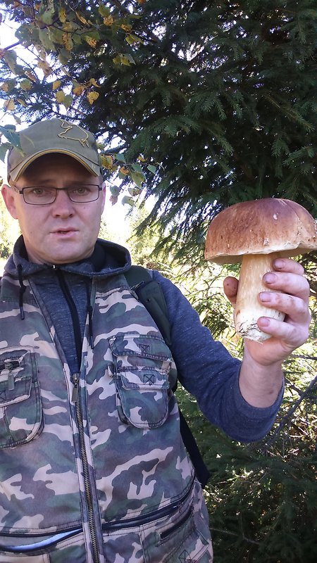 hríb smrekový Boletus edulis Bull.