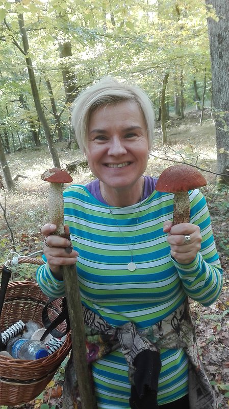 kozák osikový Leccinum albostipitatum den Bakker & Noordel.