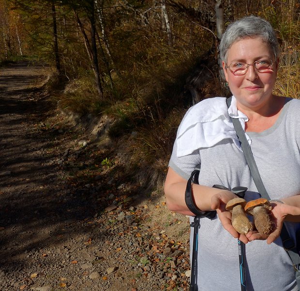 neidentifikovaná huba