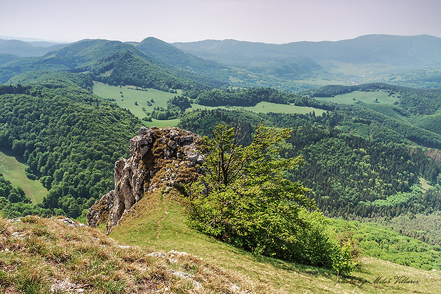 Vápeč