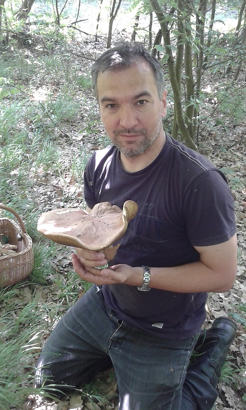 hríb dubový Boletus reticulatus Schaeff.