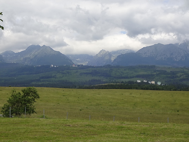 Vysoké Tatry