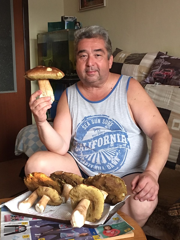 hríb smrekový Boletus edulis Bull.