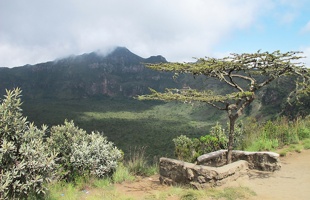 mount Longonot Natura