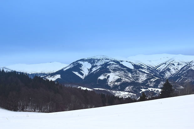 Nízke Tatry