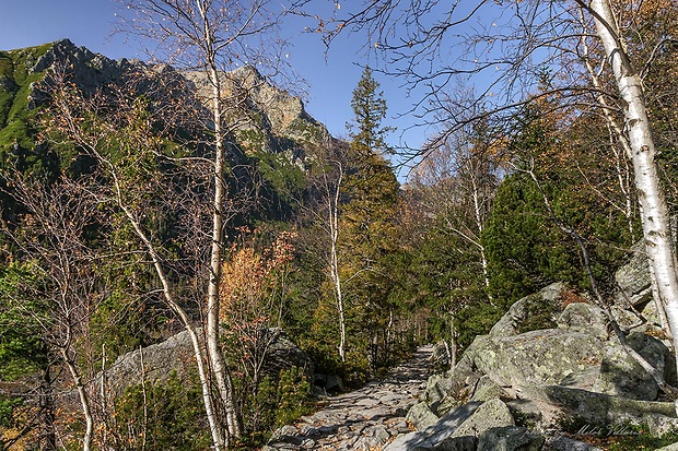 Vysoké Tatry