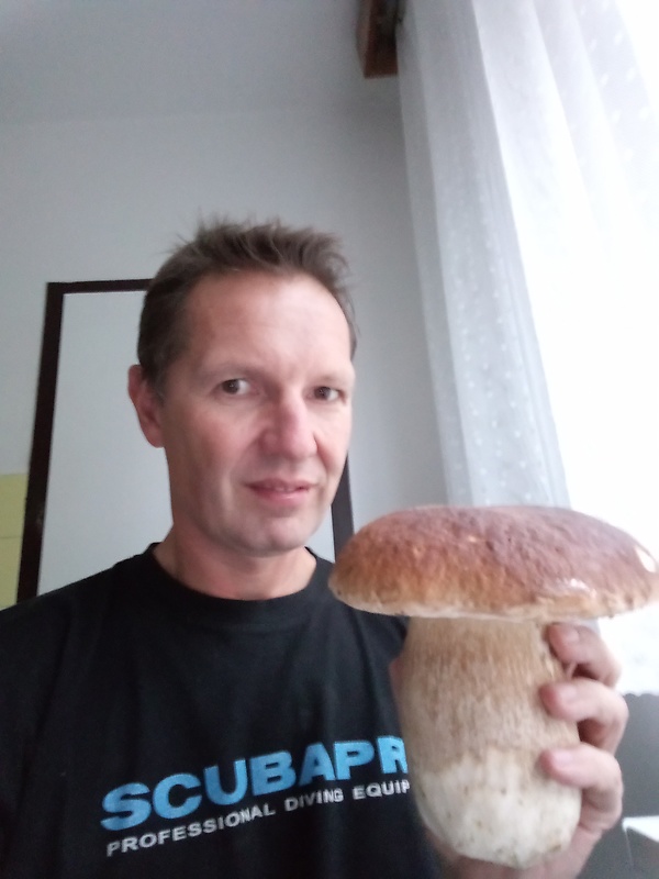 hríb smrekový Boletus edulis Bull.